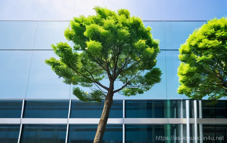 마마무 HIP 뮤직비디오 메시지 관련 이미지 1