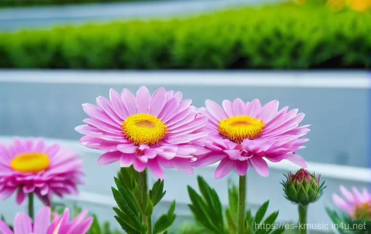 마마무 HIP 뮤직비디오 메시지 이미지 1